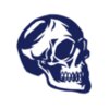 Elements Skulls logo template 139