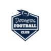 American Football logo 13