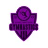 Gymnastics 25