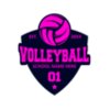 Volleyball 20