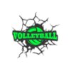 Volleyball 24