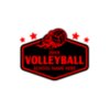 Volleyball 30